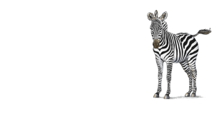 Petaluma Orthodontics - Zebras